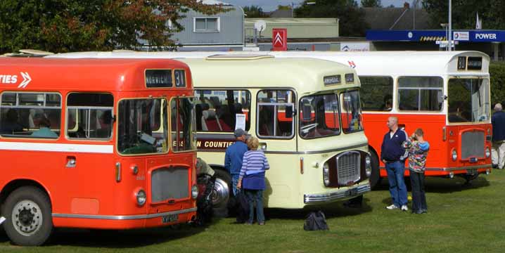 Eastern Counties Bristol REs at Showbus 2011